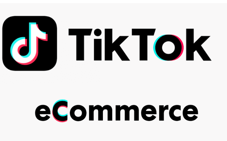 TikTok Influencers: Revolutionizing Social Media Stardom and Its ImpactImpact,Influencers,Media,Revolutionizing,Social,Stardom,TikTok,TikTok influencers